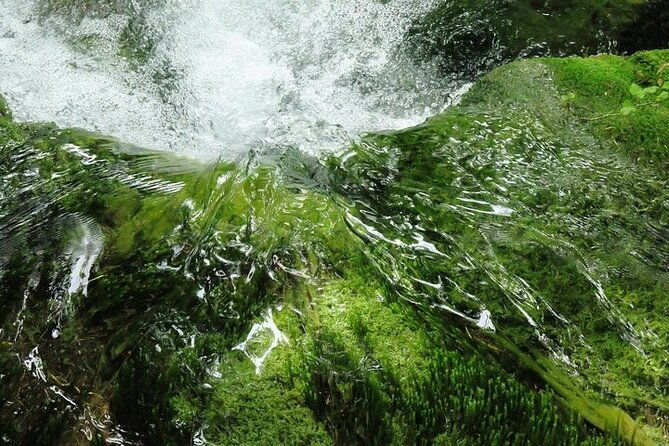 split-to-zagreb-or-airport-zagreb-via-plitvice-lakes-for-singles-or-couples