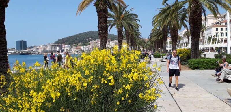 SPLIT:Emperor's Walking Tour for History Lovers - The Sum Up