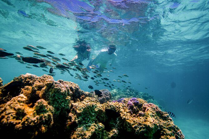 SPORT Catamaran Bora Bora : Sailing Snorkeling & Floating Bar - Who Should Book This Tour?