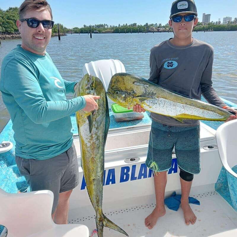 Sport fishing in mazatlan - An In-Depth Look at the Sport Fishing Experience in Mazatlan