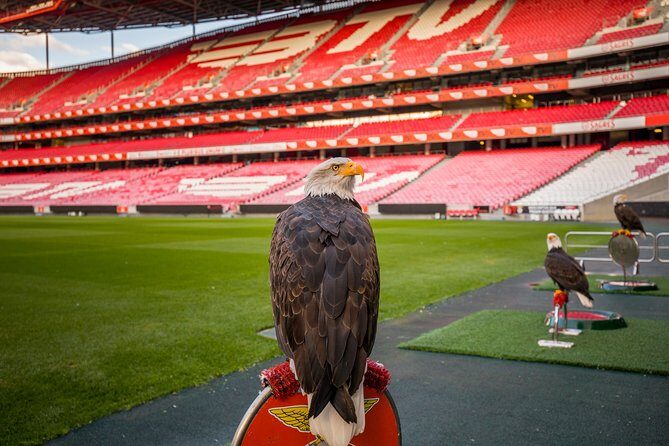 Sport Lisboa e Benfica Stadium and Museum Tickets - The Sum Up: Who Will Love This Tour?