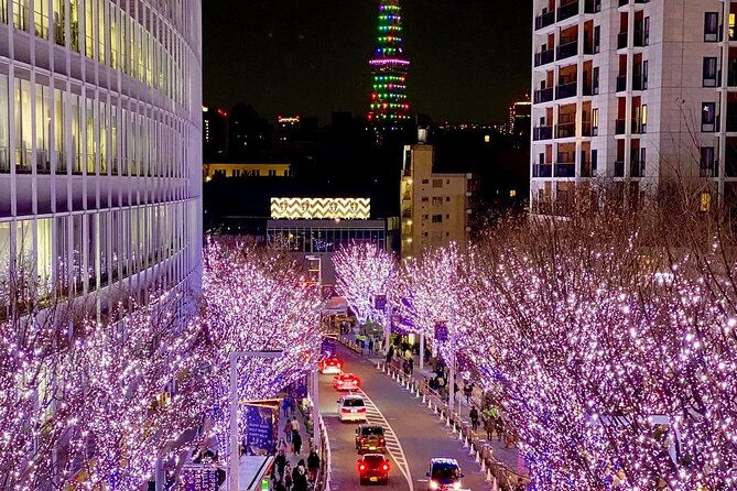 sports-and-classic-car-tour-in-tokyo