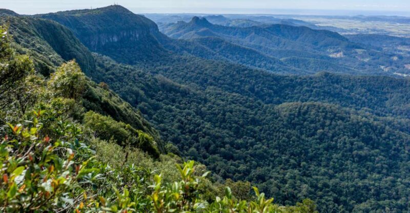 Spring Brook National Park Driving Tour with an APP - Key Points