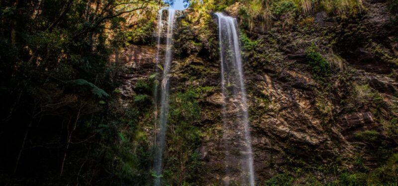 Spring Brook National Park Driving Tour with an APP - FAQs