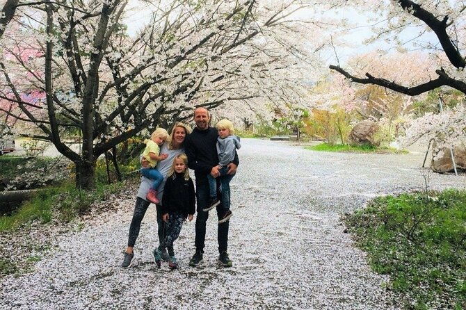 spring-only-1-day-snow-monkeys-cherry-blossoms-in-nagano-tour