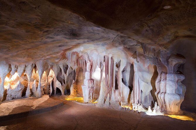 Springbrook andTamborine Rainforest Tour Incl Natural Bridge and Glow Worm Cave - Starting Point and Transport