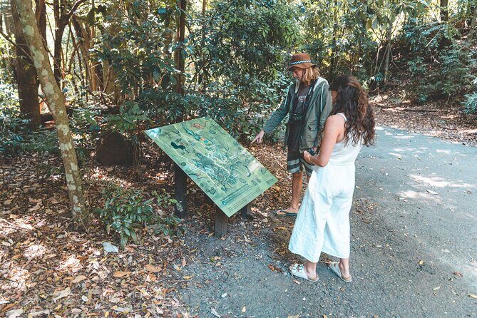 Springbrook andTamborine Rainforest Tour Incl Natural Bridge and Glow Worm Cave - Wildlife Encounters and Rainforest Walks