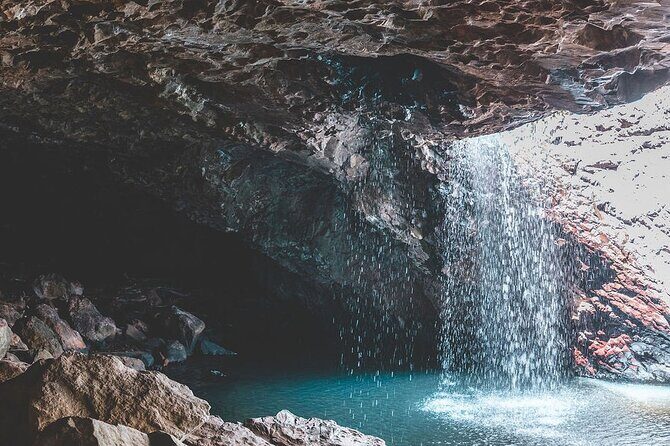 Springbrook andTamborine Rainforest Tour Incl Natural Bridge and Glow Worm Cave - Tamborine Mountain: Art, Fudge & Scenic Lookouts