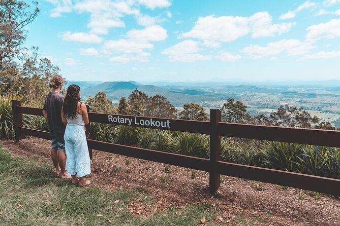 Springbrook andTamborine Rainforest Tour Incl Natural Bridge and Glow Worm Cave - Scenic Drives and Other Stops