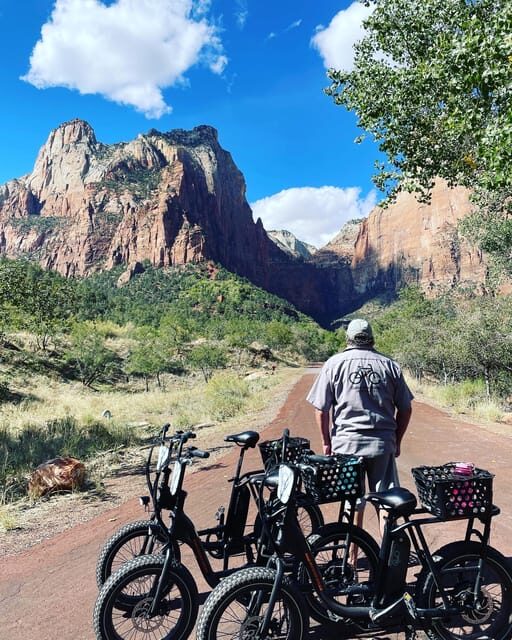 Springdale: Guided eBike Tour in Zion National Park - What Makes the Guided eBike Experience Stand Out?