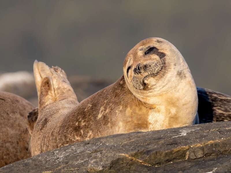 squamish-hands-on-howe-sound-sailing-adventure