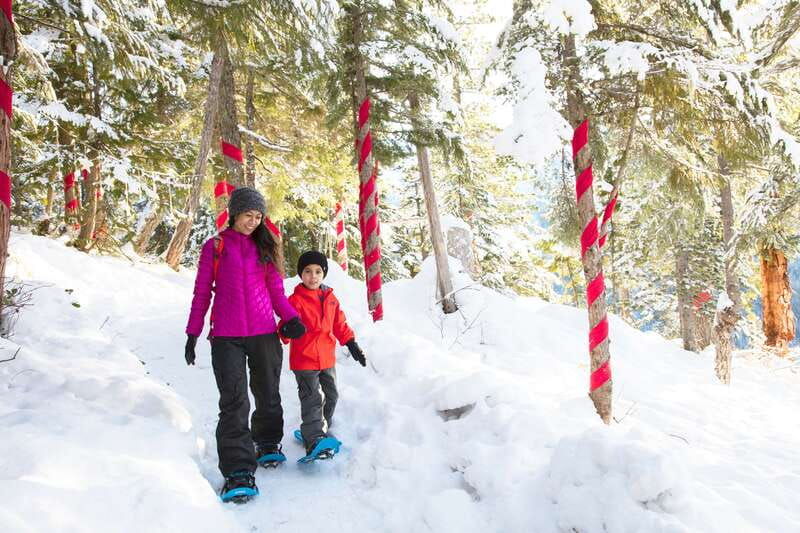 squamish-sea-to-sky-gondola-admission-ticket