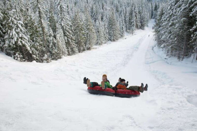 squamish-sea-to-sky-gondola-admission-ticket