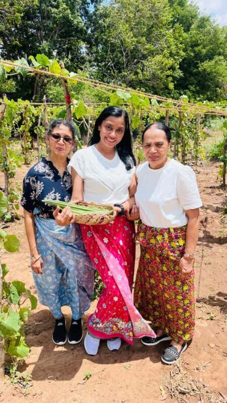 Sri Lanka: 10-Day Luxury private Tour with hotels - Key Points