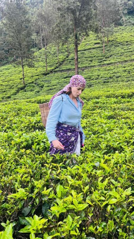 Sri Lanka: 10-Day Luxury private Tour with hotels - Value & Cost Analysis