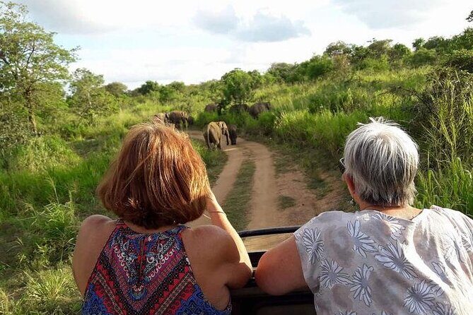 Sri Lanka: 10 Days tour with 3-4* Hotels(HB)Driver & Private Car - FAQs