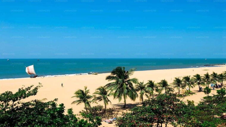 sri-lanka-12-day-tour-with-uncover-the-rich-heritage