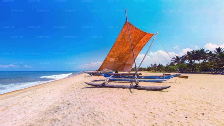 sri-lanka-12-day-tour-with-uncover-the-rich-heritage