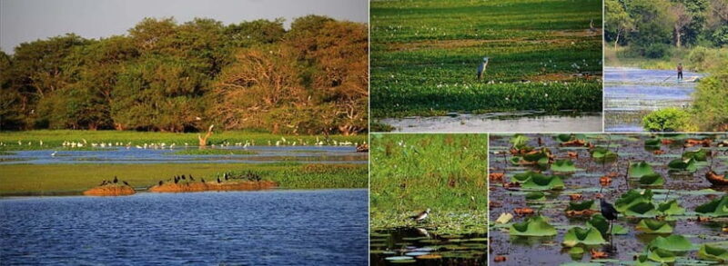 Sri Lanka 14-Day Journey: Culture, Nature & Adventure - FAQ