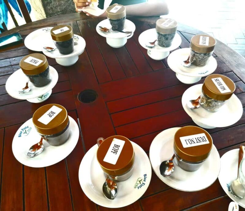 Sri Lanka: 15-Day Guided Tour with Transfers & Hotels - Key Points