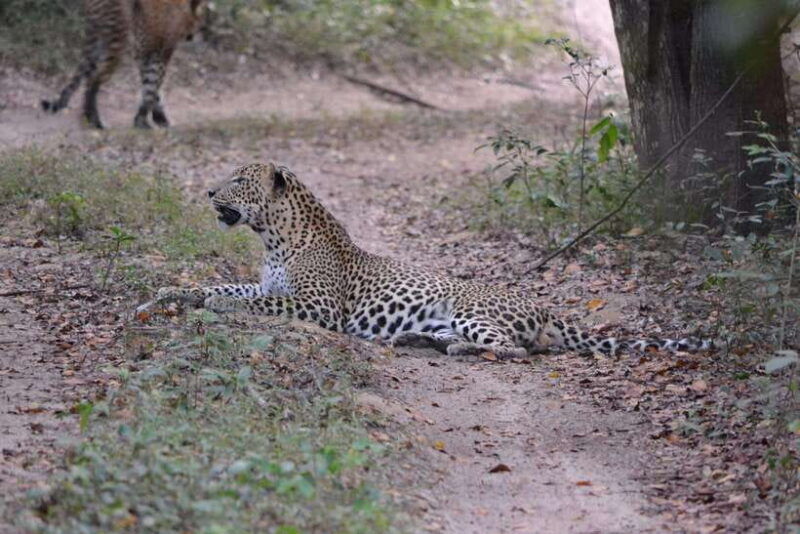 sri-lanka-2-day-tour-3-amazing-national-parksriver-safari