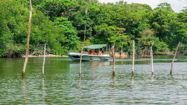 sri-lanka-2-day-tour-explore-hikkaduwa-galle-yala