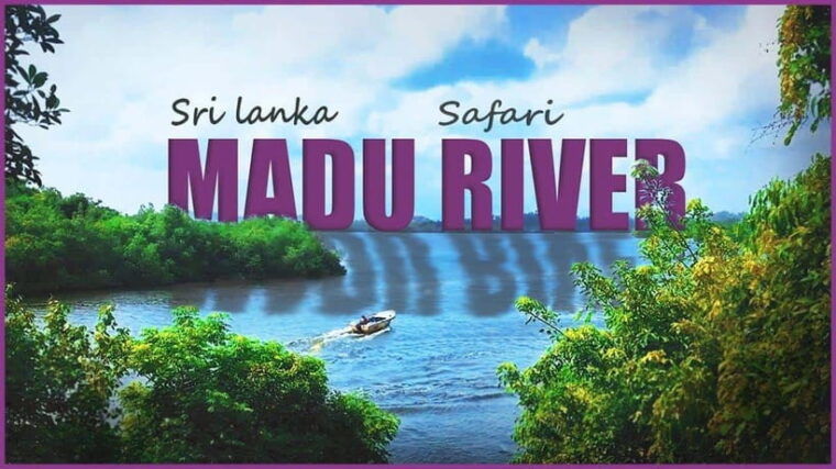 sri-lanka-2-day-tour-explore-hikkaduwa-galle-yala
