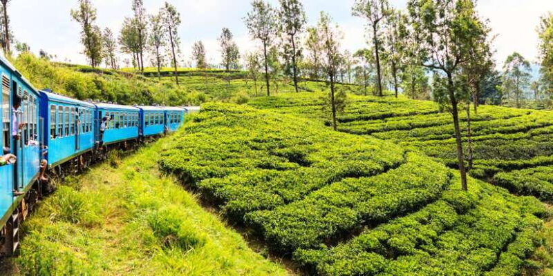 sri-lanka-2-day-wildlife-tour-rainforest-and-national-park