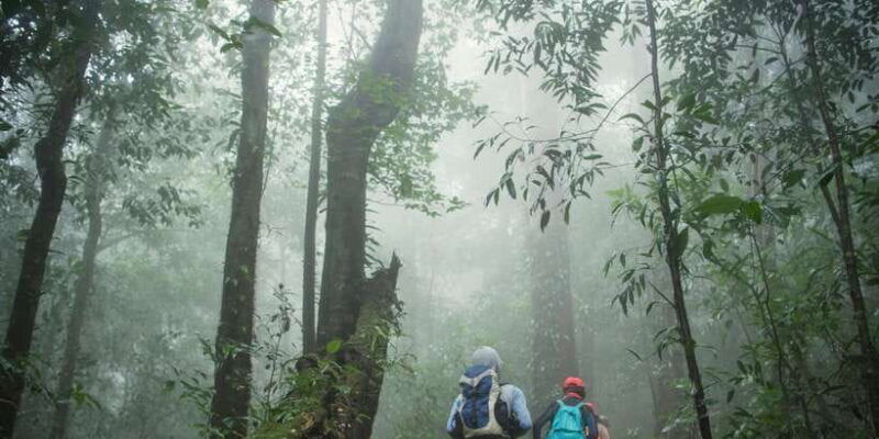 sri-lanka-2-day-wildlife-tour-rainforest-and-national-park