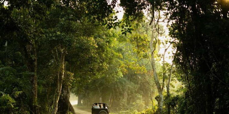 sri-lanka-2-day-wildlife-tour-rainforest-and-national-park
