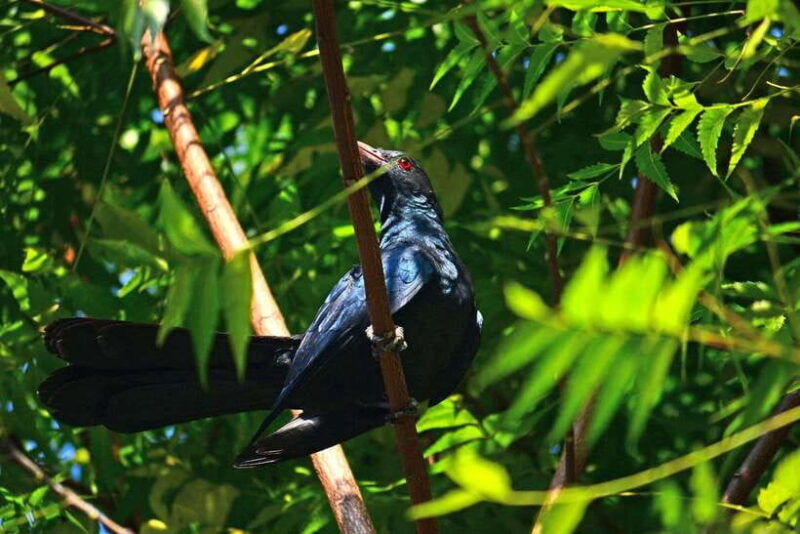 sri-lanka-3-day-hill-country-experience-with-train-trip