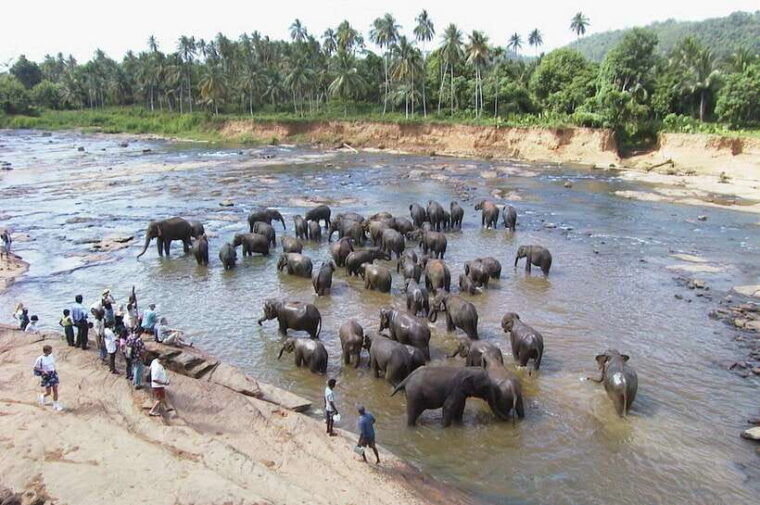 sri-lanka-3-day-hill-country-experience-with-train-trip