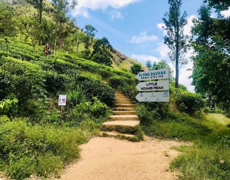 Sri Lanka 3-day Private Tour: Kandy, Nuwara Eliya, Ella - Final Thoughts