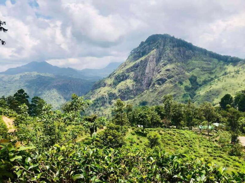 sri-lanka-3-day-private-tour-kandy-nuwara-eliya-ella