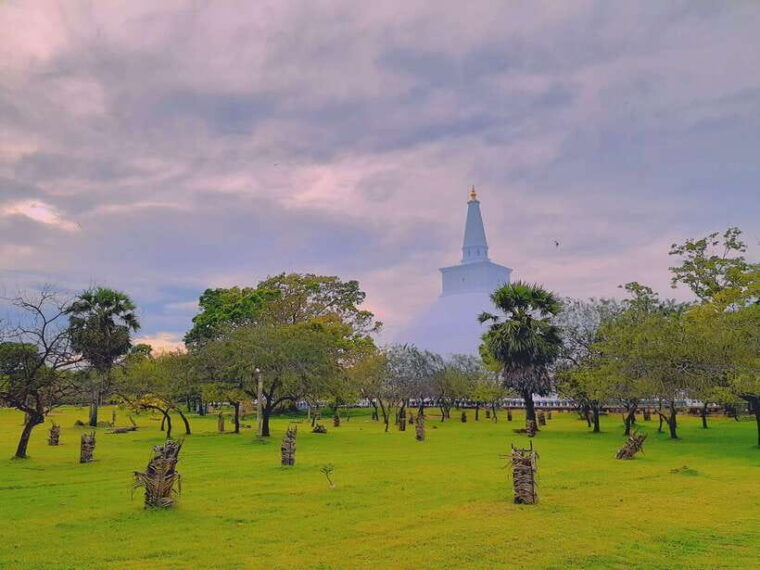 sri-lanka-3-day-private-tour-temples-wildlife-hill-country