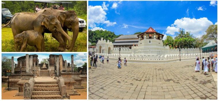 sri-lanka-3-day-private-tour-temples-wildlife-hill-country