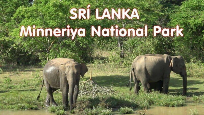 sri-lanka-3-day-tourexplore-sigiriya-kandy-and-nuwara-eliya