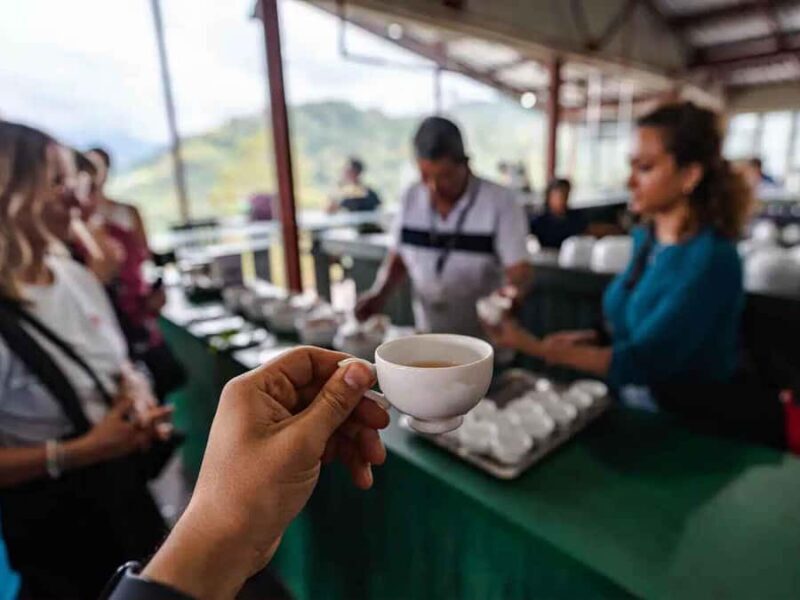 Sri Lanka: 4-Day British Ceylon Tea Trail Tour with Hotels - Key Points