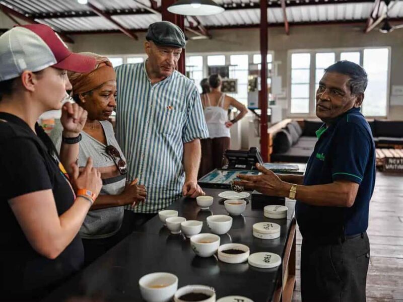 Sri Lanka: 4-Day British Ceylon Tea Trail Tour with Hotels - Final Thoughts