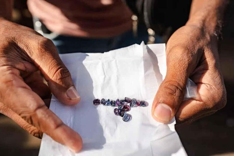 Sri Lanka: 4-Day Gem Tour with Accommodation and Meals - Day-by-Day Breakdown of the Tour