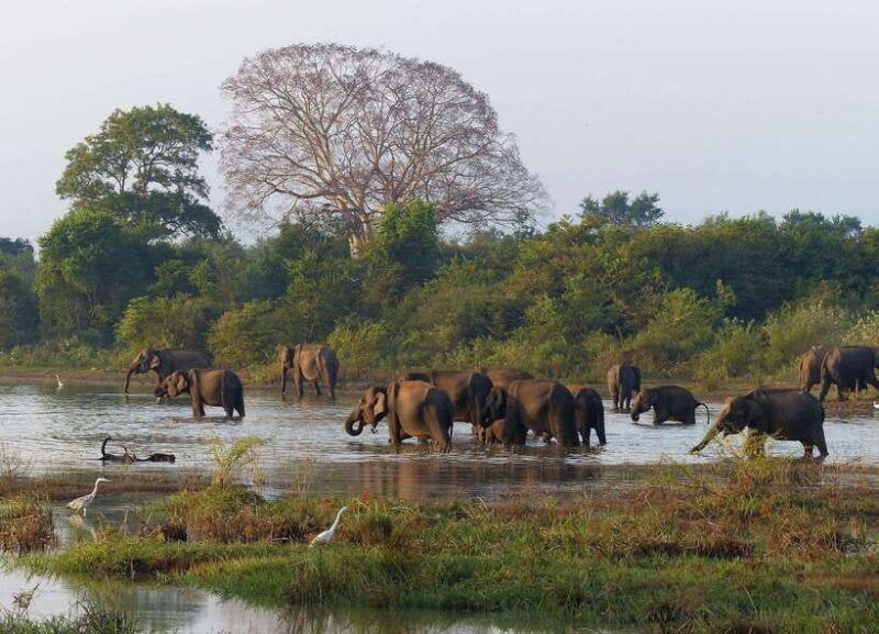 sri-lanka-4-day-tour-cultural-triangle-rafting-and-safari
