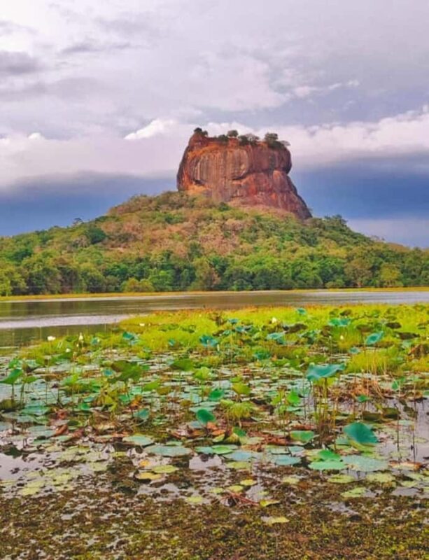 Sri Lanka: 4-Day Wildlife, Culture & Scenic Journey - The Value of the Experience