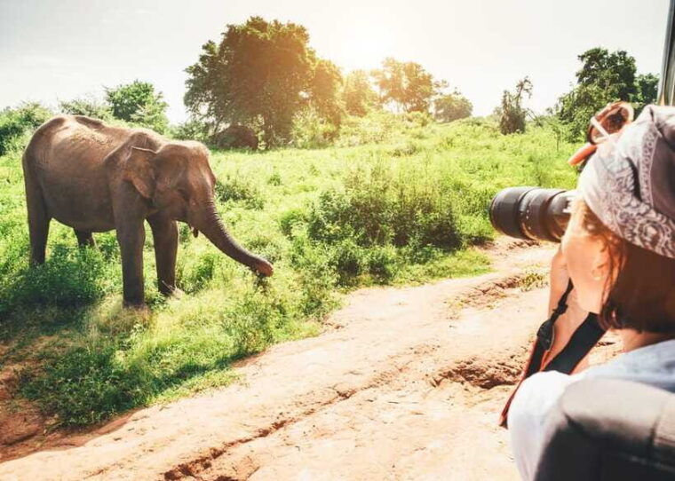 sri-lanka-4-days-sightseeing-tour-with-4-days-beach-holiday