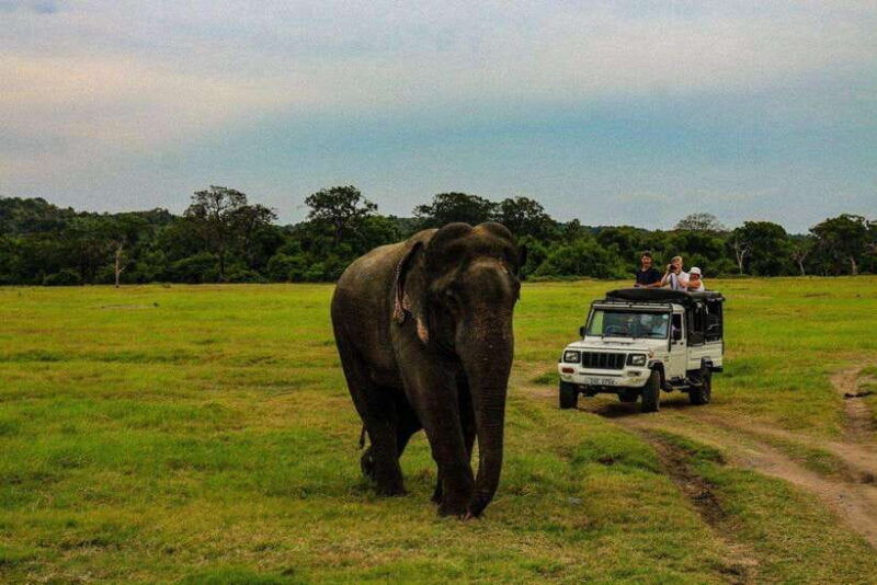 sri-lanka-4n5day-guided-full-tour-with-hotel-accommodations