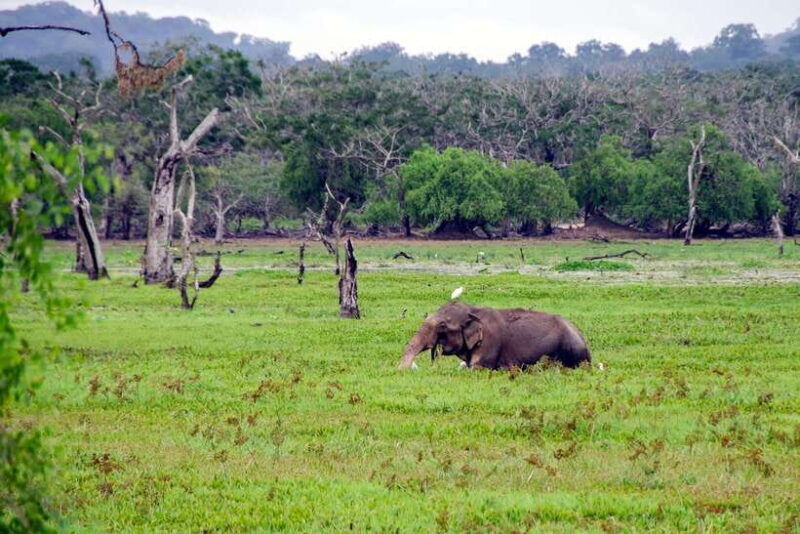 sri-lanka-5-day-private-guided-tour