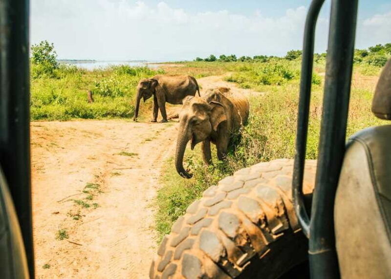 sri-lanka-5-day-tour-with-hill-country-cultural-triangle
