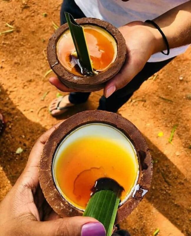 Sri Lanka 6 Days Private Tour with 3 star Hotels HB and Car - A Closer Look at the Itinerary and What It Means for You