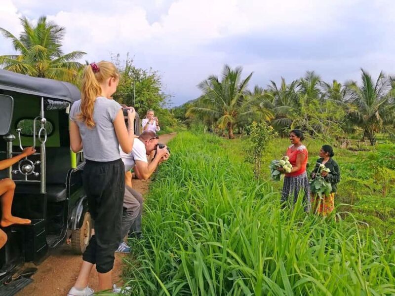 Sri Lanka 6 Days Private Tour with 3 star Hotels HB and Car - Who Will Benefit Most from This Tour?