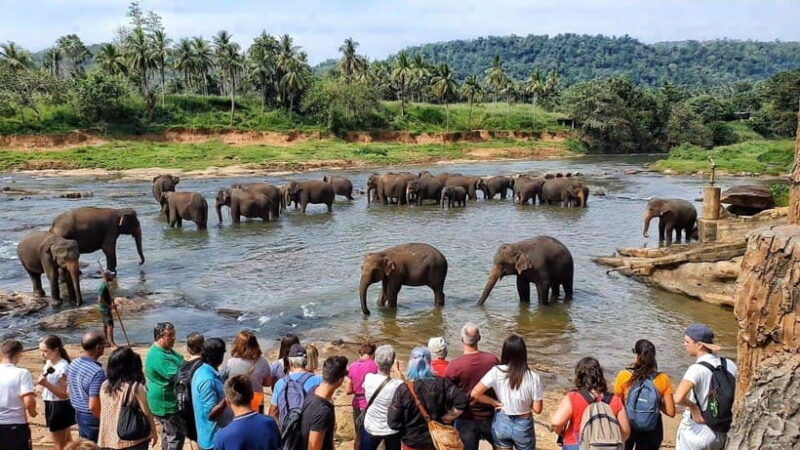 sri-lanka-6-daytour-of-kandy-nuwara-eliya-bentota-colombo