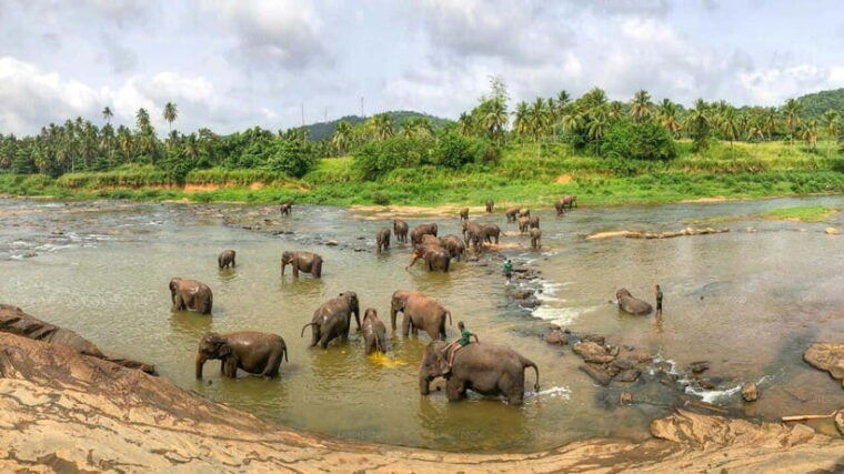 sri-lanka-6-daytour-of-kandy-nuwara-eliya-bentota-colombo